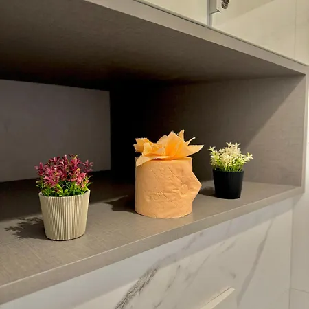 Appartement Blancris Boutique Braşov